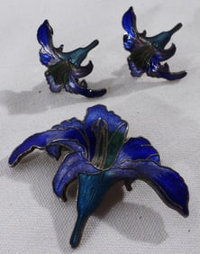 Matching Pin & Earrings Set