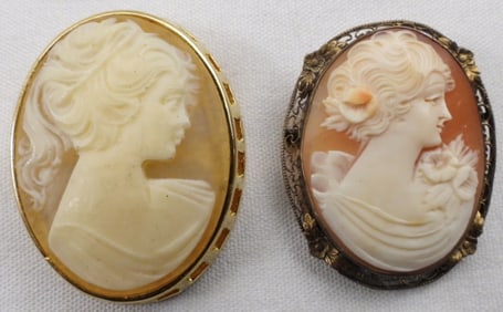 (2) Camieo Brooches