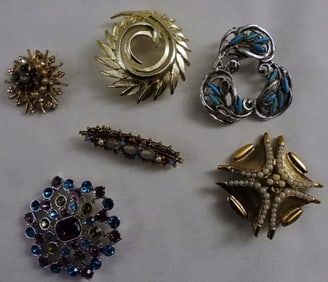(6) Brooches