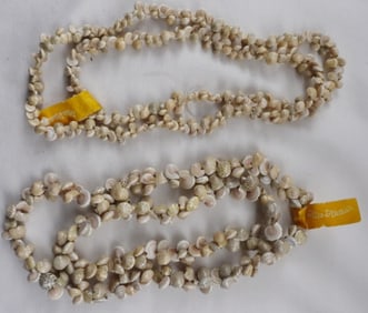 (2) Shell Necklaces