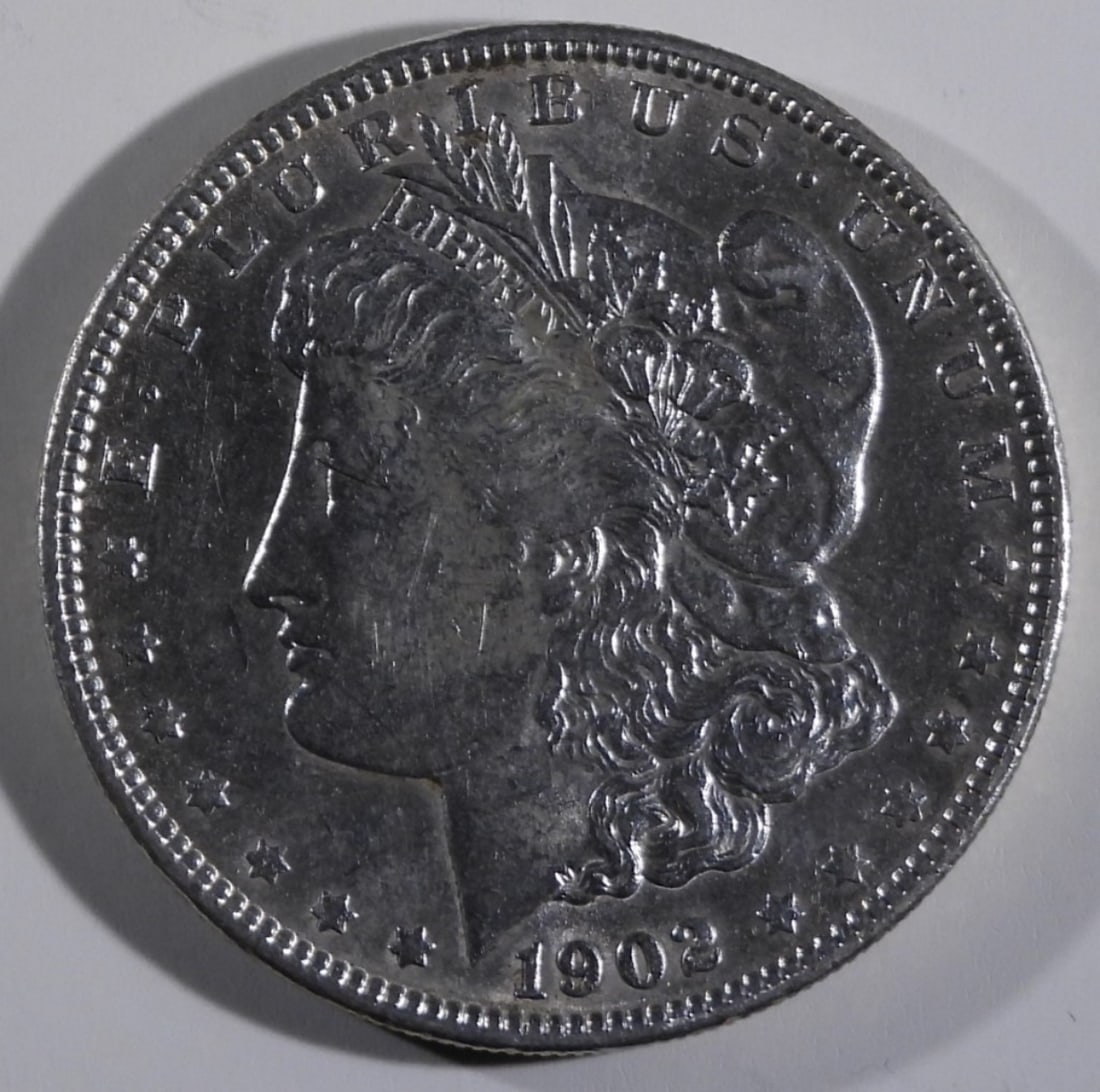 1902 Morgan Dollar (1 of 2)