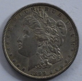 1899 Morgan Dollar