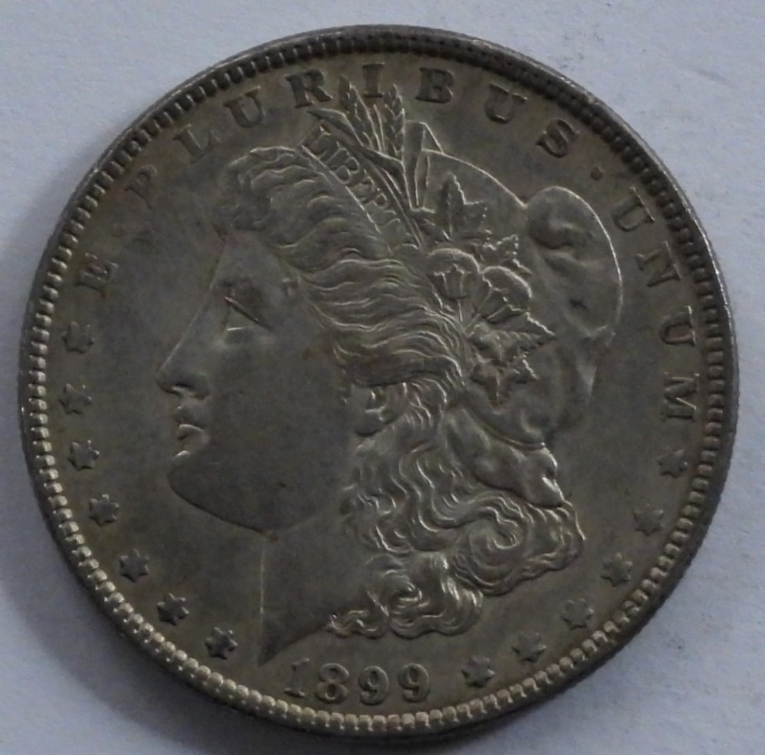 1899 Morgan Dollar (1 of 2)