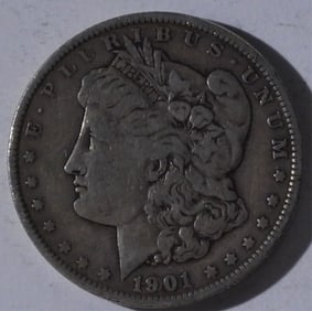 1901 Morgan Dollar
