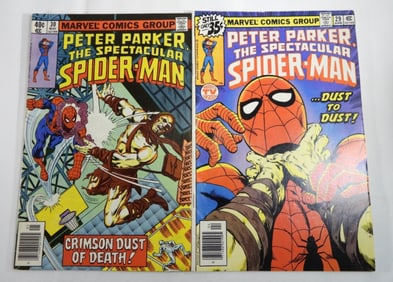 (2) Peter Parker The Spectacular Spider-Man