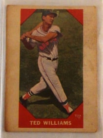 Ted Williams #72
