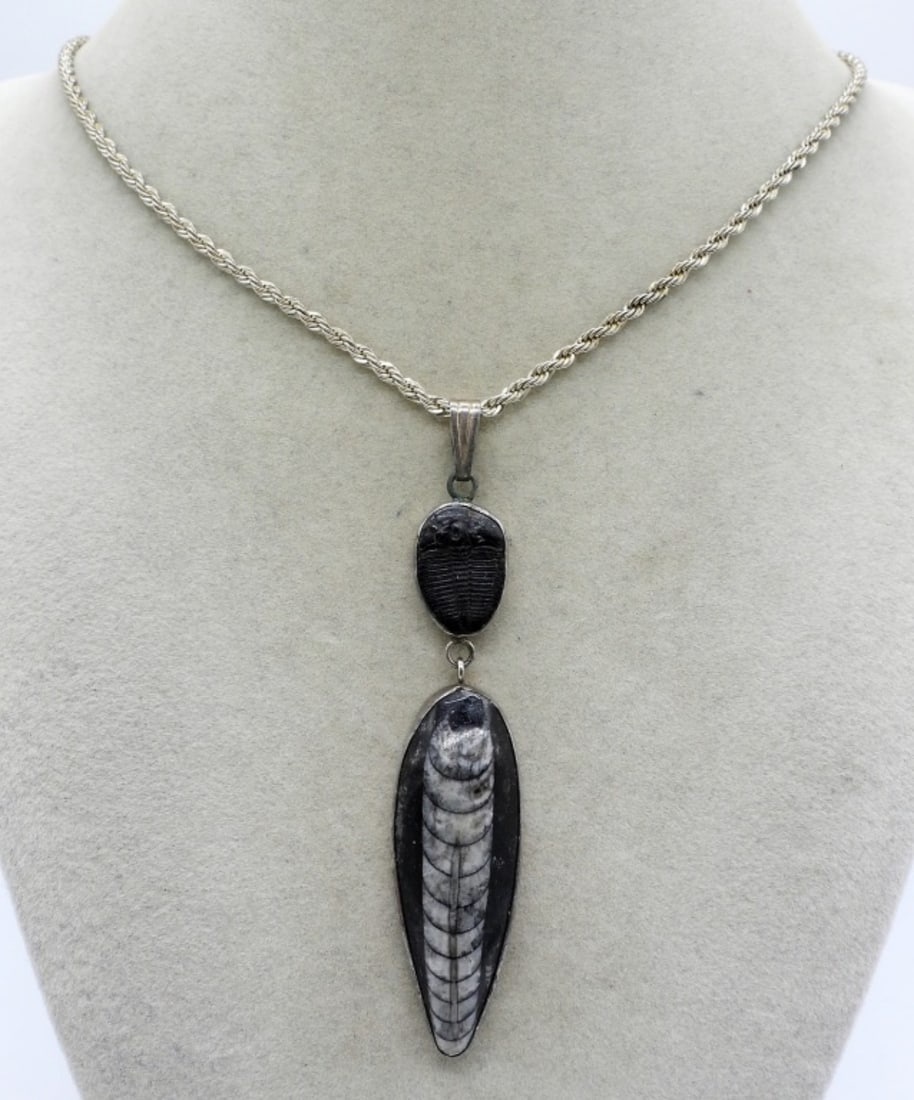 Trilobite & Orthoceras 925 Necklace (1 of 3)