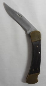 Buck Folding hunting Knife