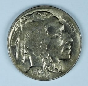 1929-D Buffalo Nickel