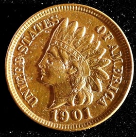 1901 Indian Cent