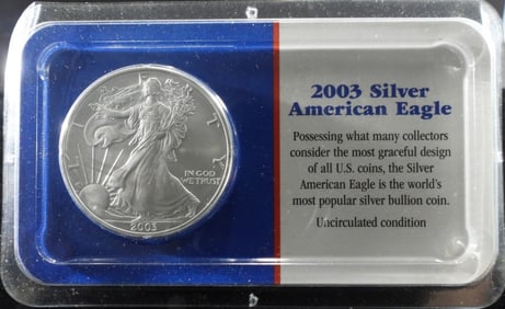 2003 Silver Eagle BU In Littleton Pack