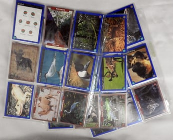 (50) Environmental Action Cards