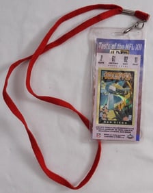 Superbowl XXXVII Ticket