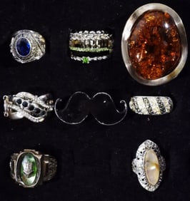 (8) Variety of Rings