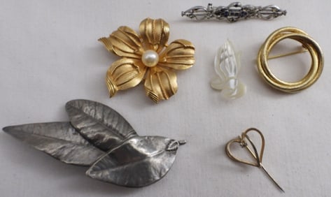 (6) Brooches