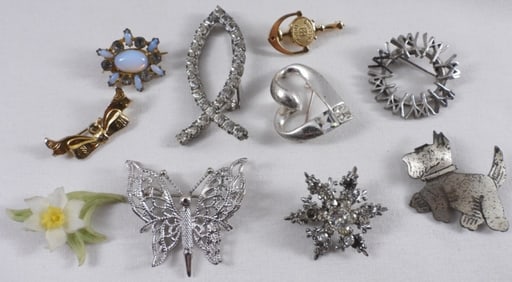 (10) Brooches