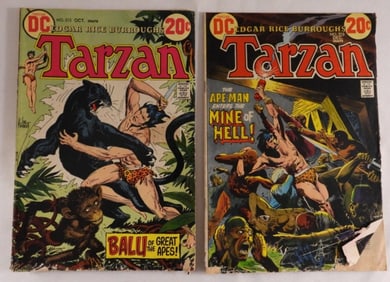(2) DC Tarzan Comics