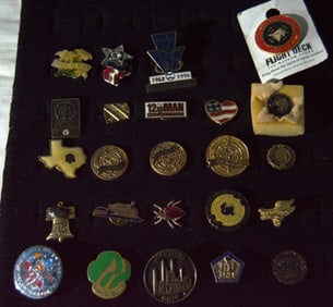 (29) Mystery Bag Of Pins