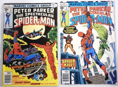 (2) Peter Parker The Spectacular Spider-Man