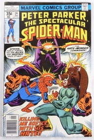 Peter Parker The Spectacular Spider-Man