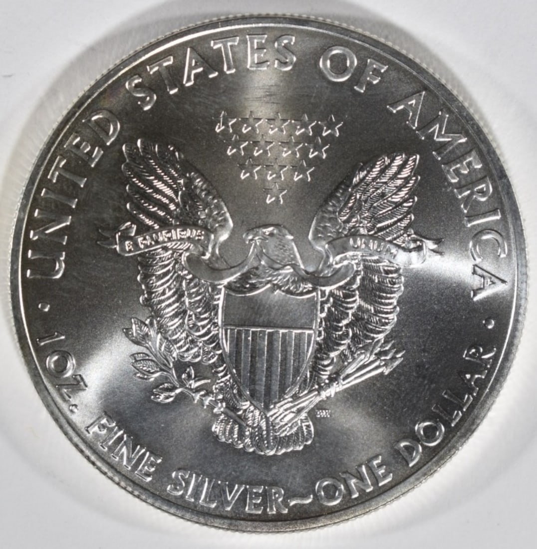 2013 Am Silver Eagle - 2