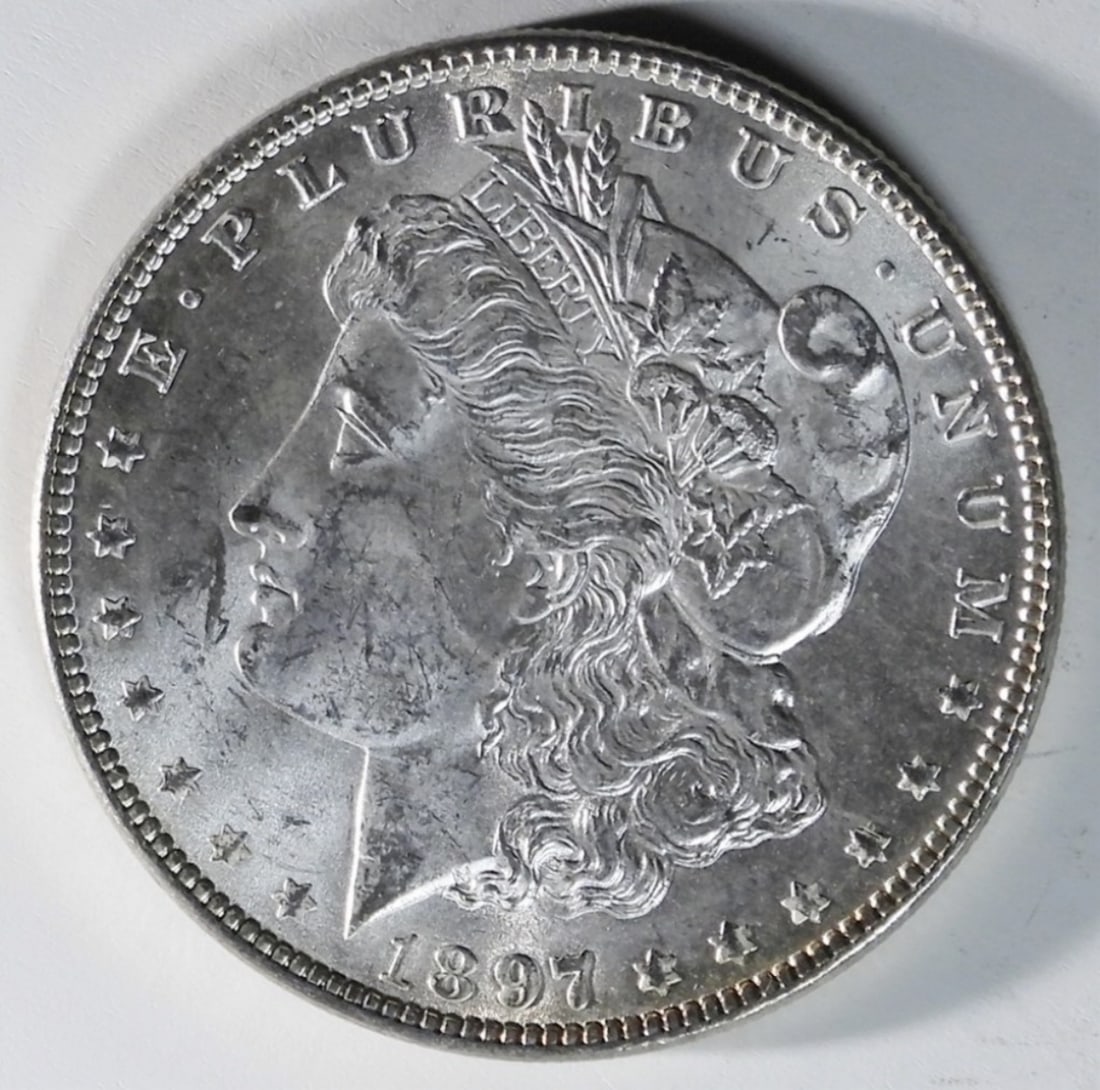 1897 Morgan Dollar (1 of 2)