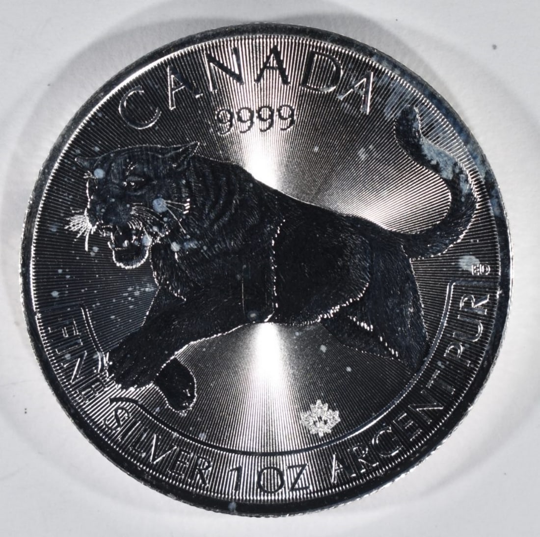 2016 1oz Canada Silver Cougar: Your #1 shop for all things collectible.