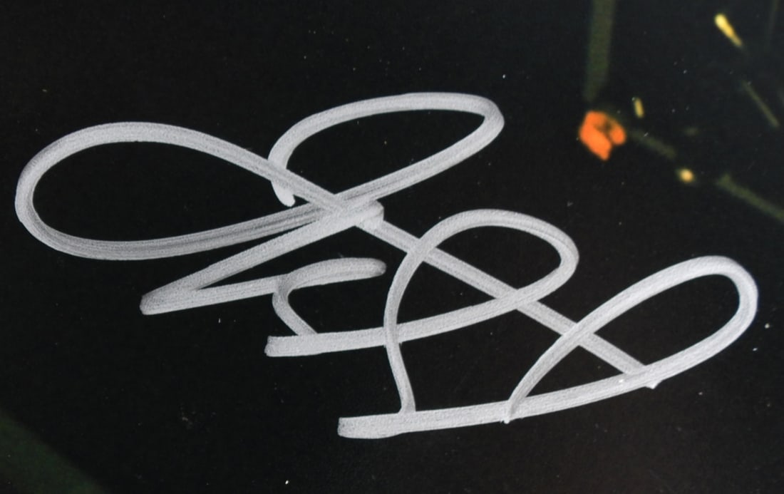 Jason Kidd Signed Photo - 4