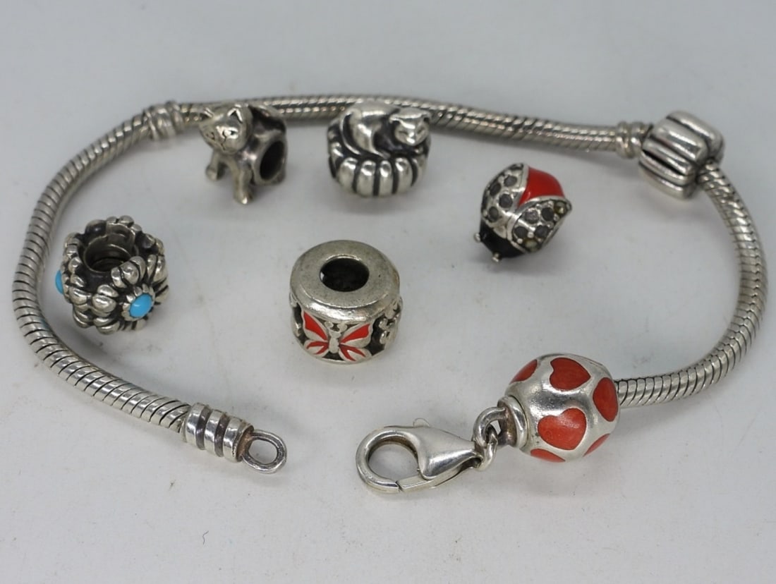 Sterling Charm Bracelet with 7 Charms (1 of 1)