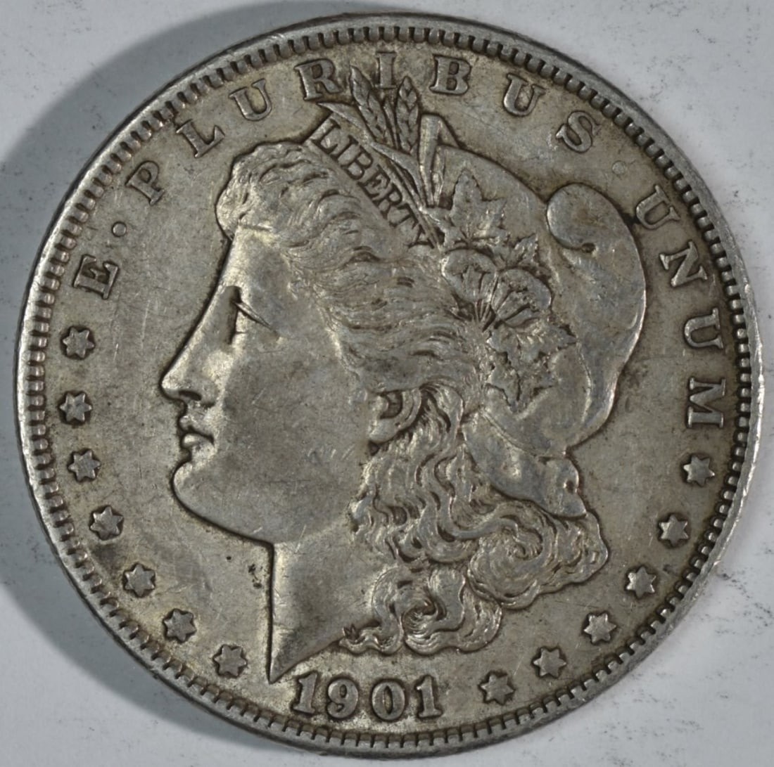 1901 Morgan Dollar (1 of 2)