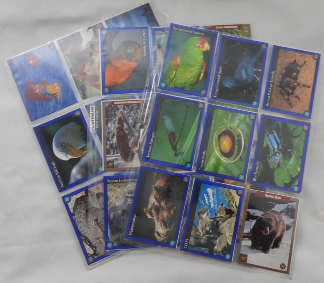 (50) Environmental Action Cards - 2