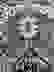 item-104354720=5