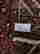 item-107600815=6