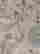 item-111330189=5