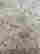 item-111330189=7