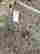 item-130533939=14