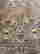 item-130533945=4