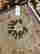 item-130533960=12