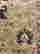 item-130533960=3