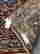 item-130534077=4