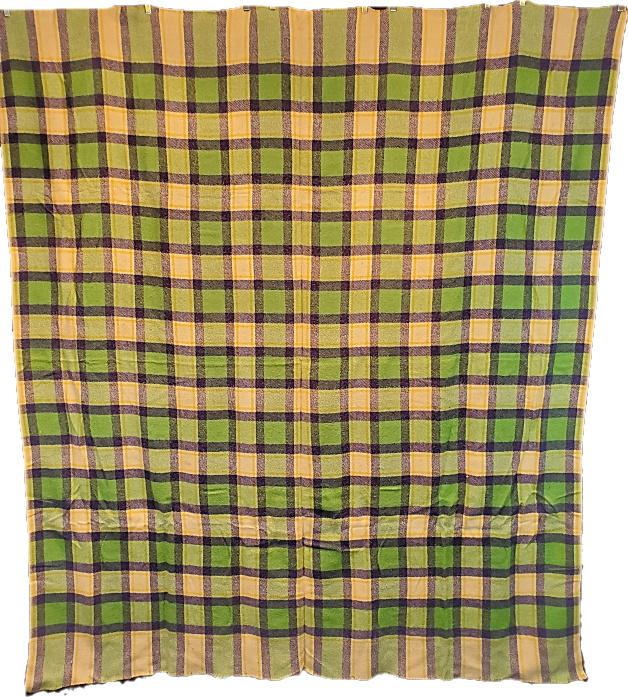 Vintage 1930s Wool Camp Blanket Green Plaid (1 of 7)