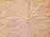 item-104035177=4