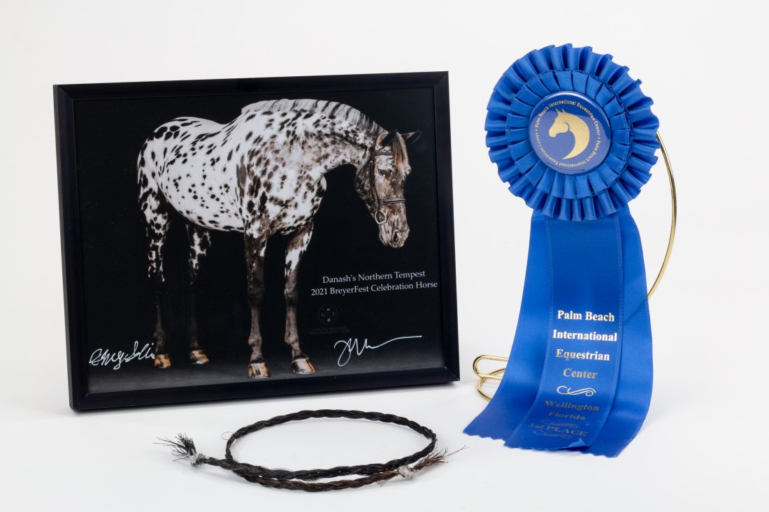 Danash's Northern Tempest Gift Basket with Glossy Dani (1 of 1)