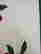item-130377016=9