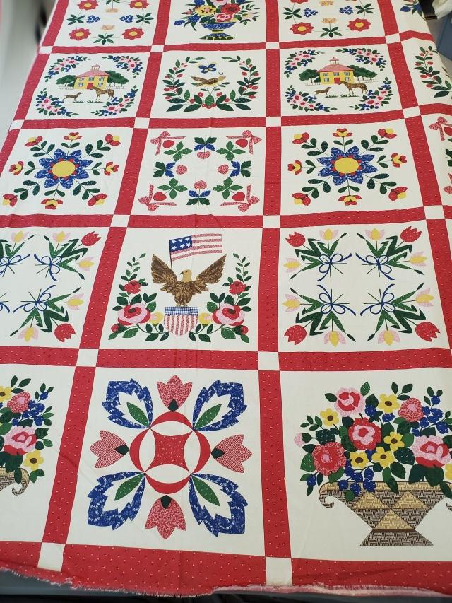 Vintage Baltimore Album Cheater Cloth Fabric (1 of 11)