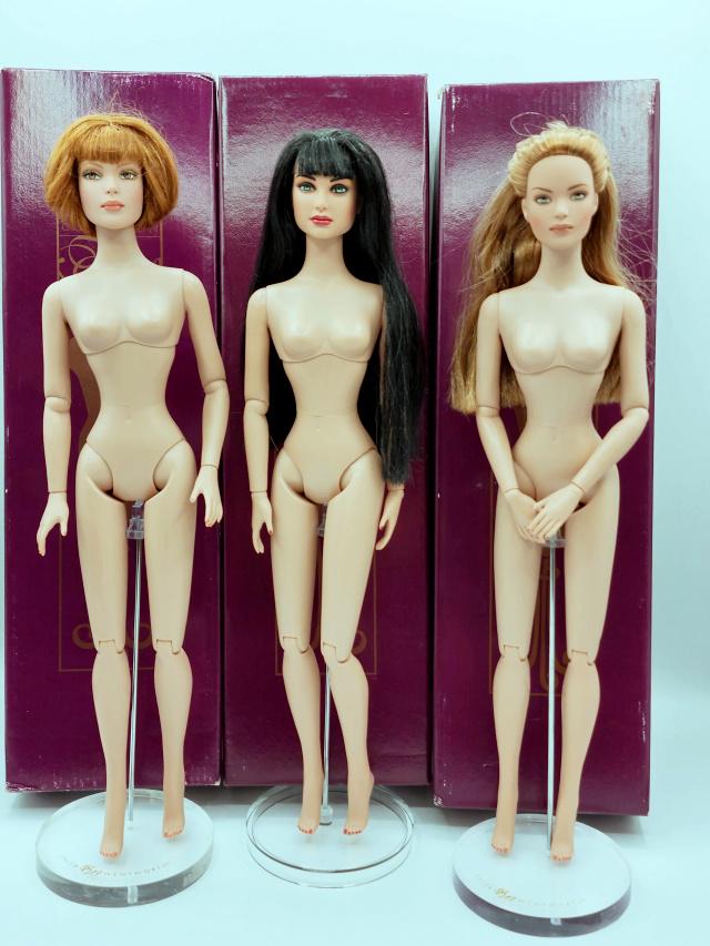 3 Tonner Tyler Wentworth Dolls in Boxes (1 of 10)