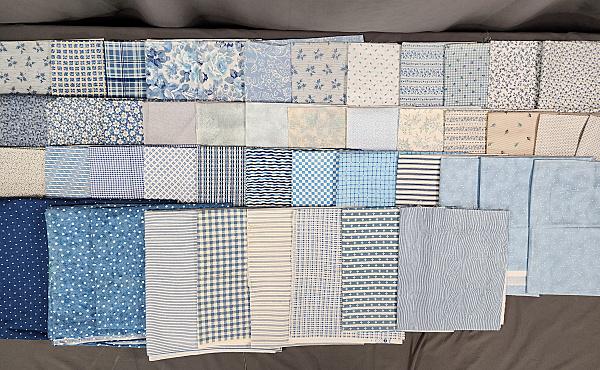 10 lbs Quilt Fabric 1990-2010 - Blue Prints (1 of 17)