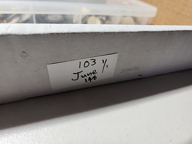 660 Vintage and Antique Buttons