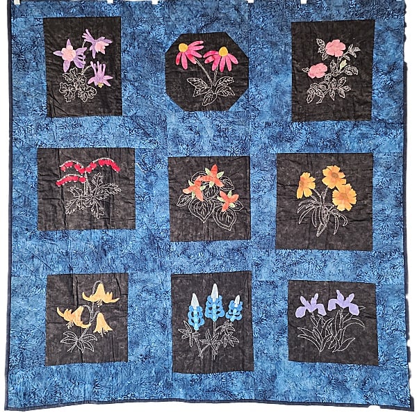 Midnight Garden Quilt - 2011 (1 of 8)
