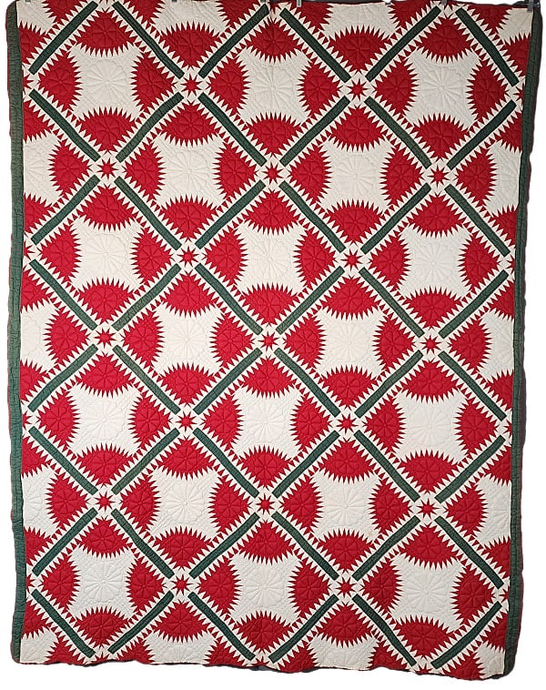 Antique c1890 New York Beauty Quilt - TN (1 of 11)